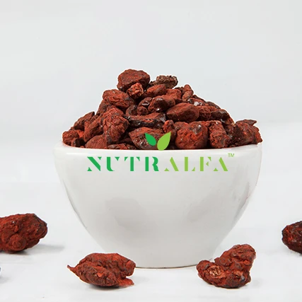 Gum Dragon Blood Pure Resin