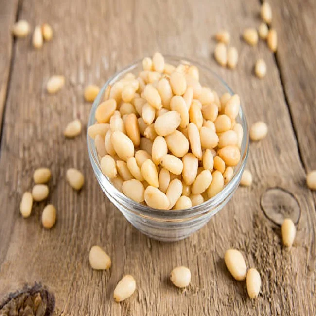 Raw organic Macadamia nuts with shell and Without for sale