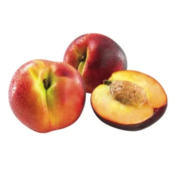 
VIETNAM FRESH NECTARINE TYPE 2 