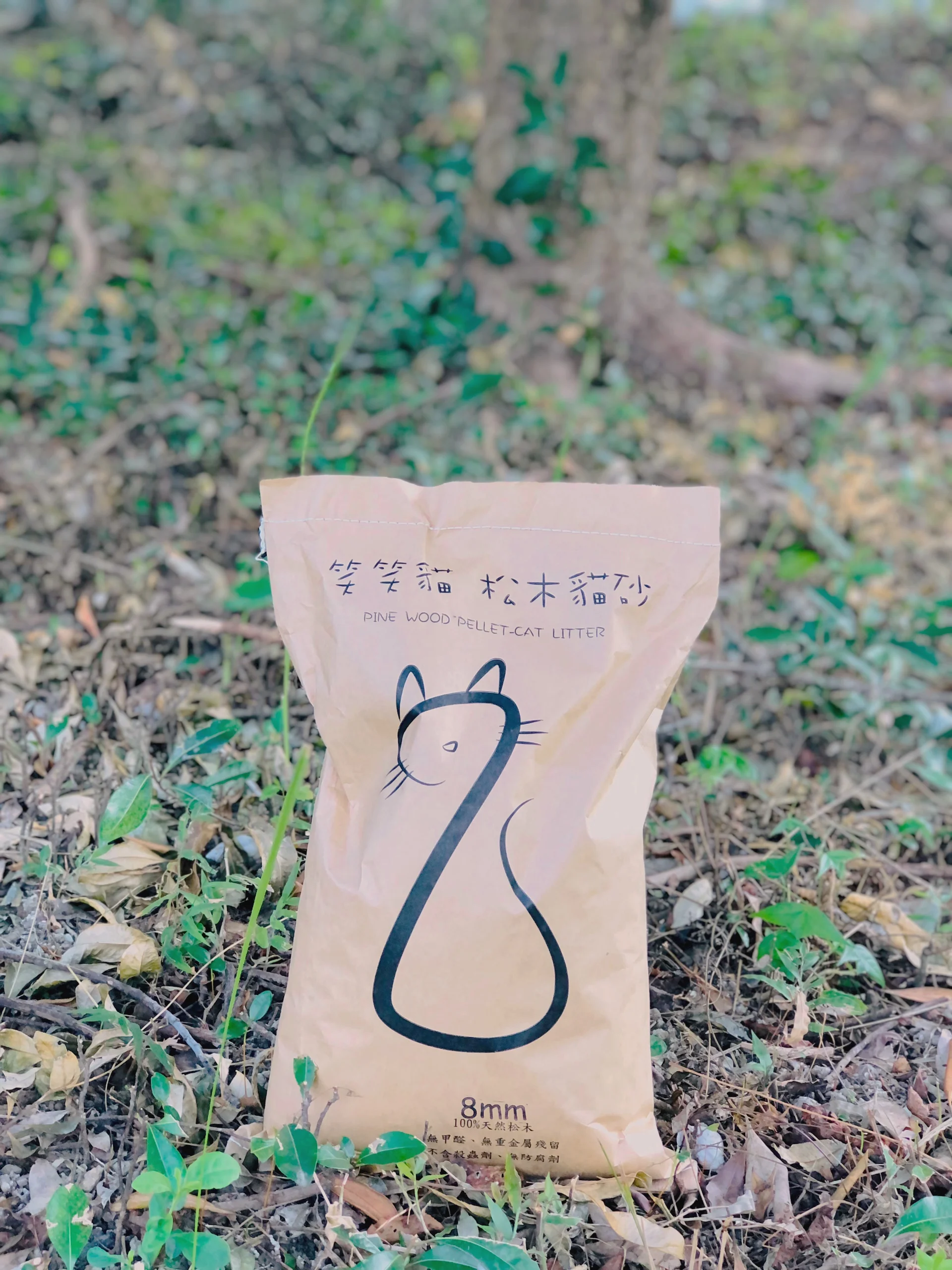 bentonite cat litter