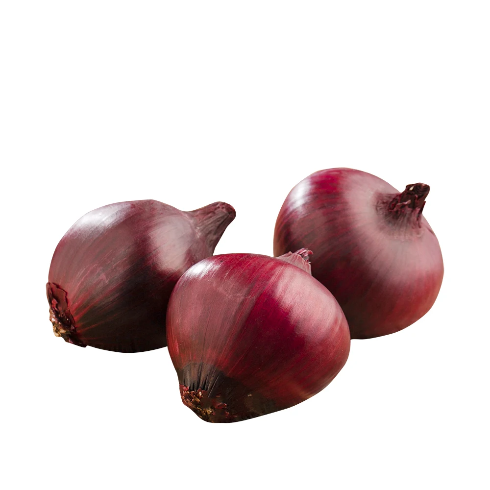 New Crop %100 Organic Onions Hot Sale Big Red Onions Premium Quality Fresh Onion - Made in Turkey