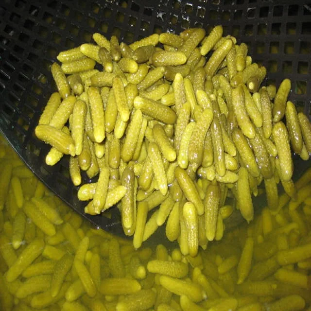 Naturally Pickled Fermented Cucumbers