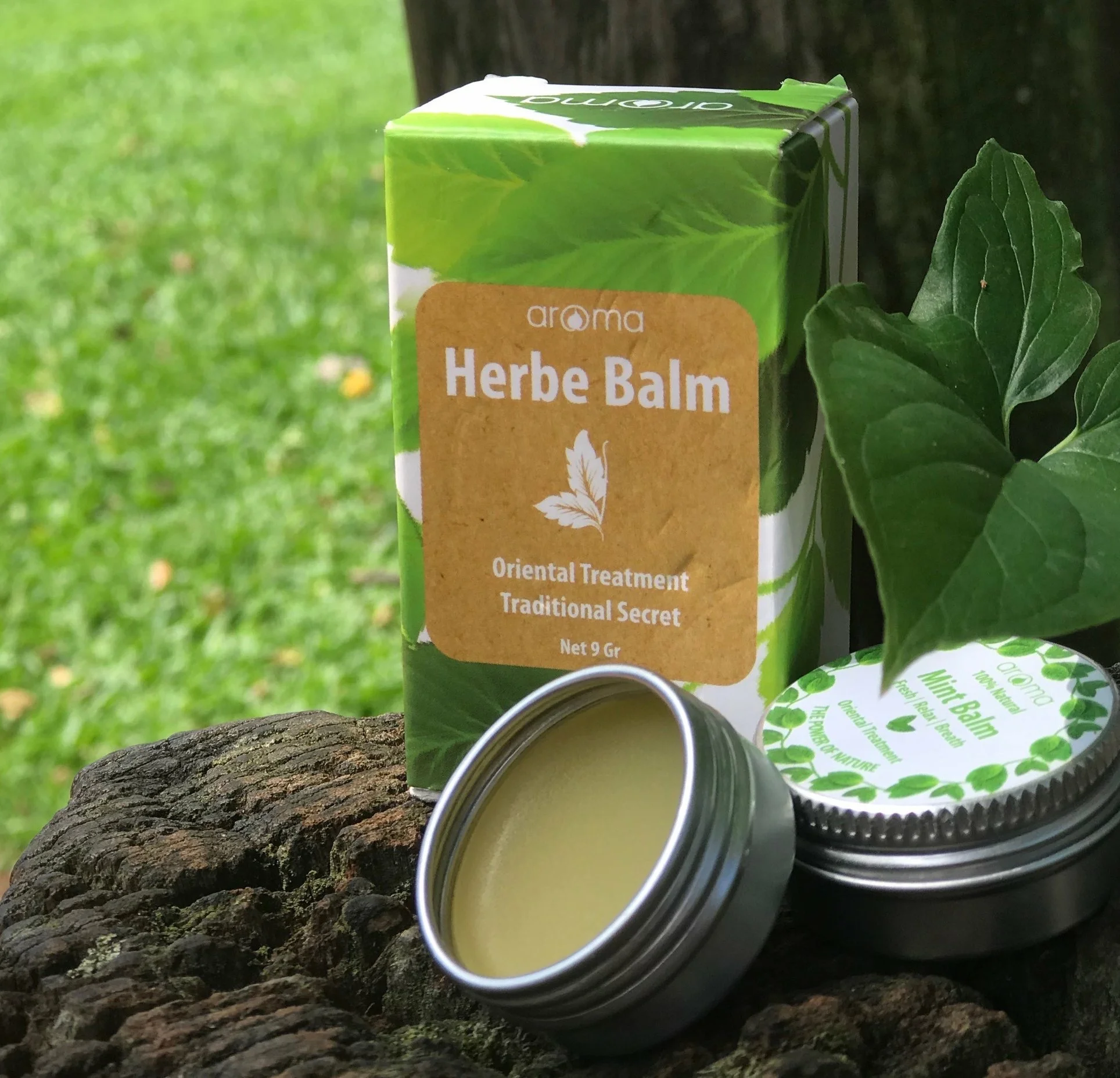  Лучшая цена масло для эфирных масел Cajeput теплое 100% чистое органическое заводское медицинское обслуживание оптовая продажа эфирное 100 эвкалиптопочва