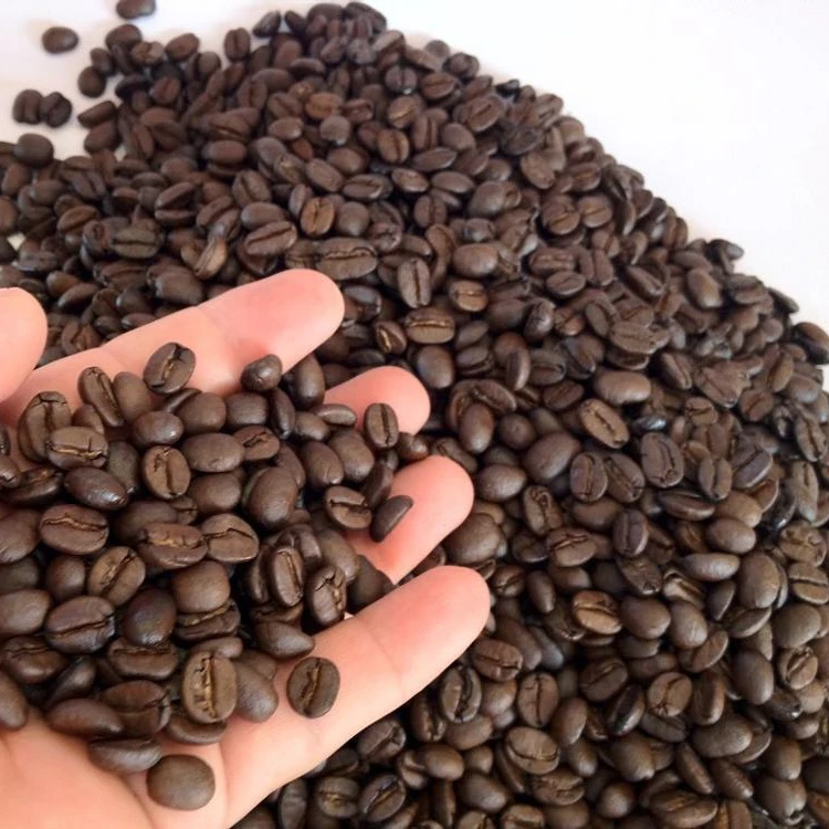 Robusta1.jpg