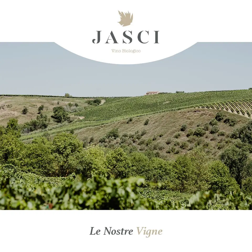 Итальянские сульфаты без добавления, органическое красное вино монтеспульциано 75 Cl для Дина