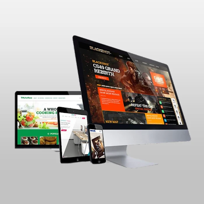 Professional online B2B Ecommerce websites design and development in India - Protolabz eServices