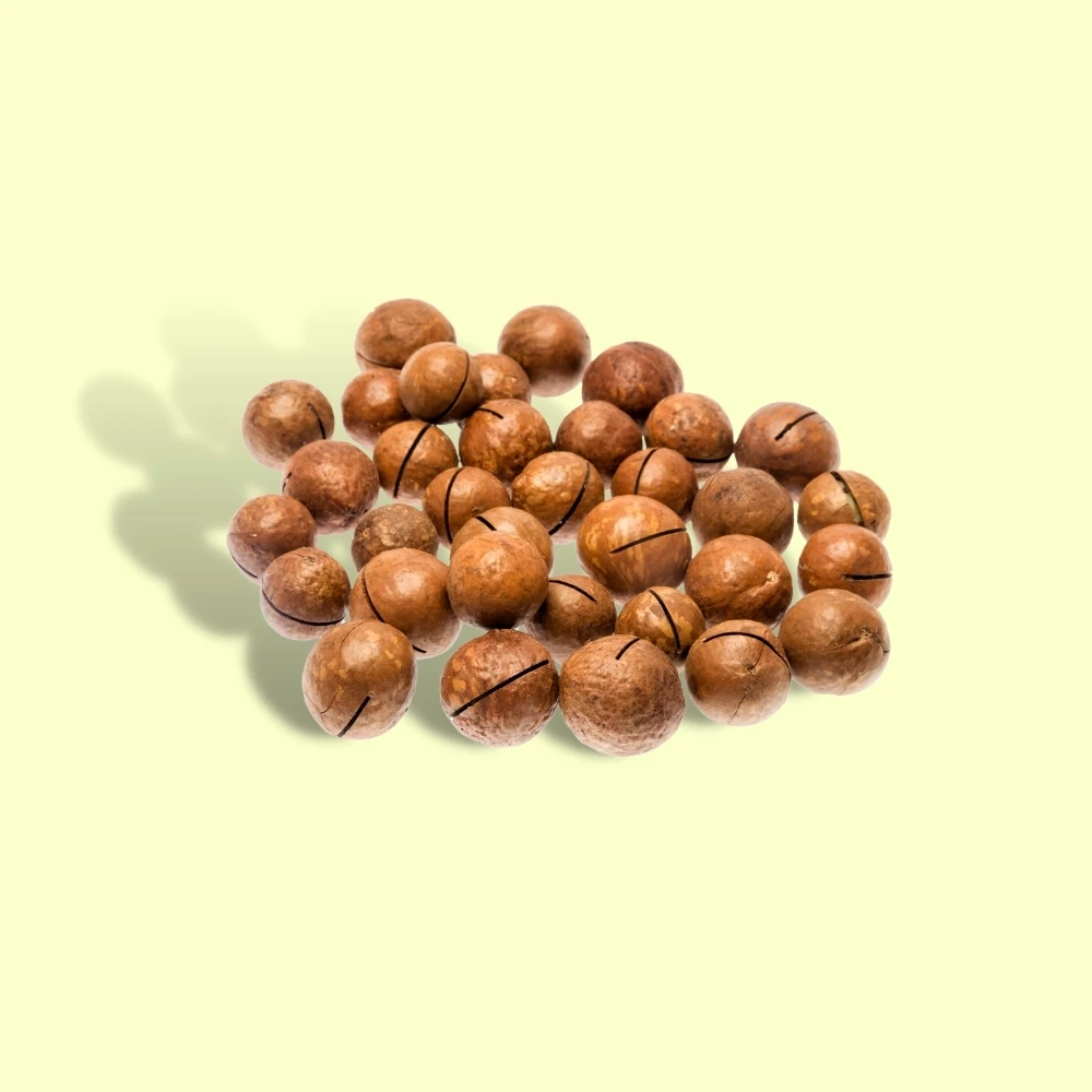 Вьетнамские экспортные товары коробка для орехов Сушеные Орехи macca пакет закусок орехи макадамии сырые