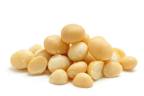60g Common Dried Nibbles Premium Australian Roasted Unsalted Macadamia Nut In Standup Pouch