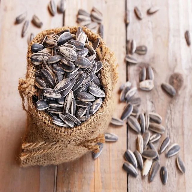 Big Sriped Sunflower Seeds with black color