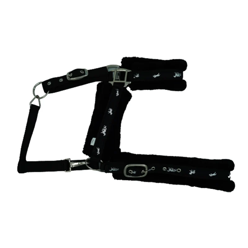2024 New Latest Design Horse Riding PP Halters Bulk Manufacturer Supplier Buy At Good Price