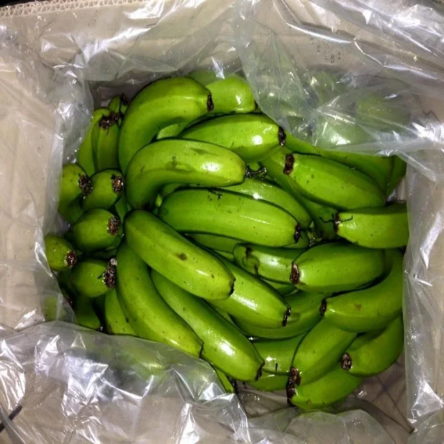 Fresh Cavendish Banana Exporter In India at 13 kg Cartons best price
