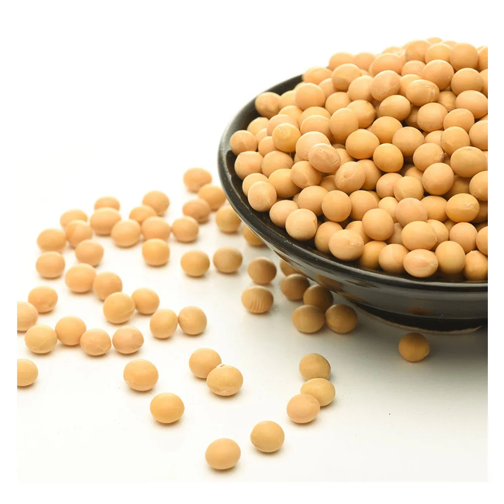 Organic Soya beans Vacuum Packing Dried Conventional Natural Soya Beans  Soya Bean Seeds