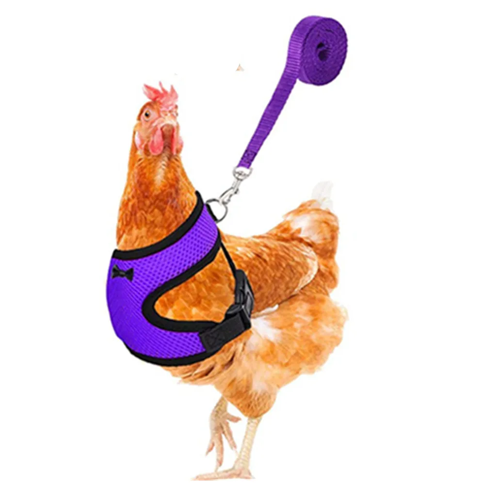 Pet Goose Duck Mesh Harness Breathable Chicken Vest Harness with leash For Walking Training