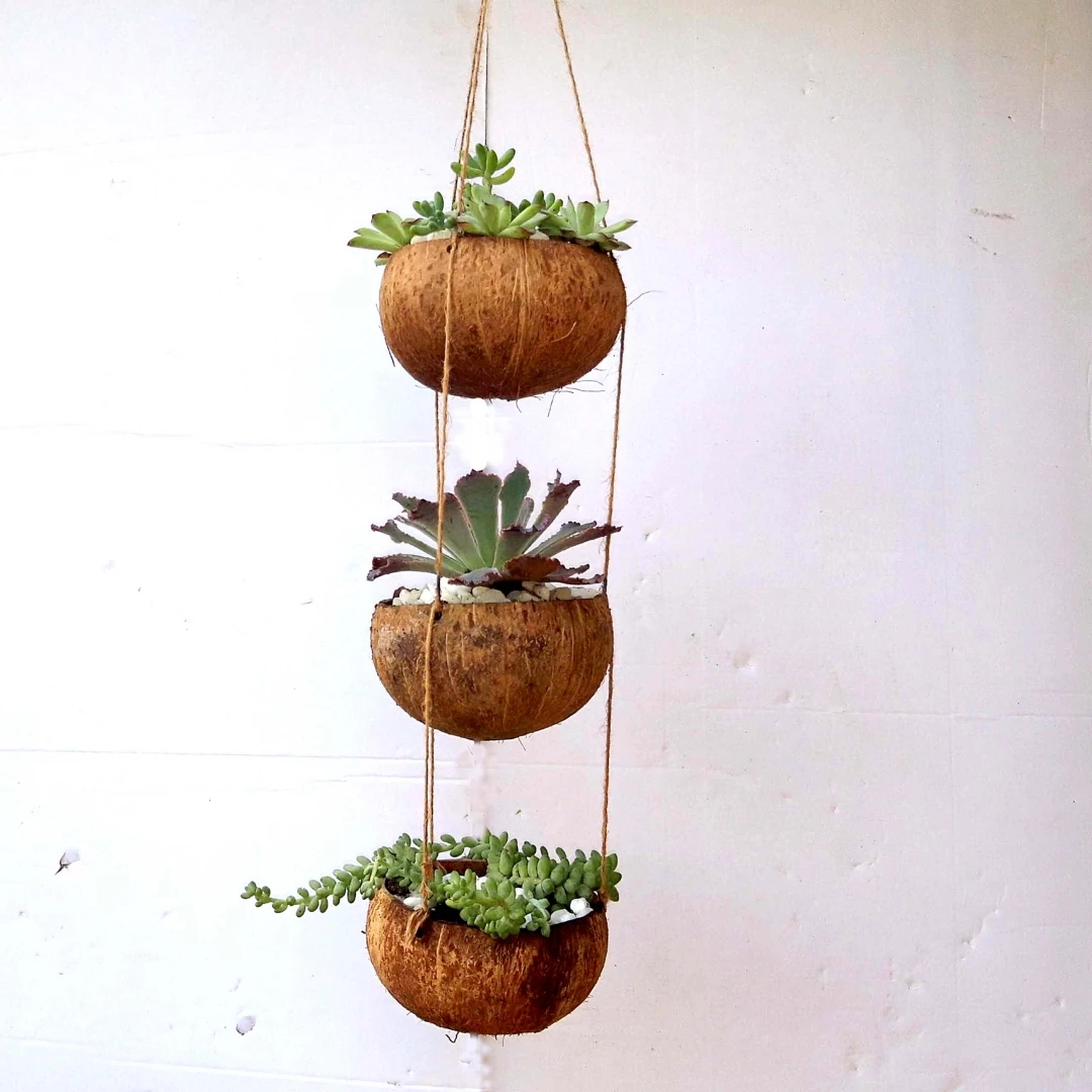 Creative Coconut Shell Hanging Basket Coconut Flower Pot Balcony Decoration