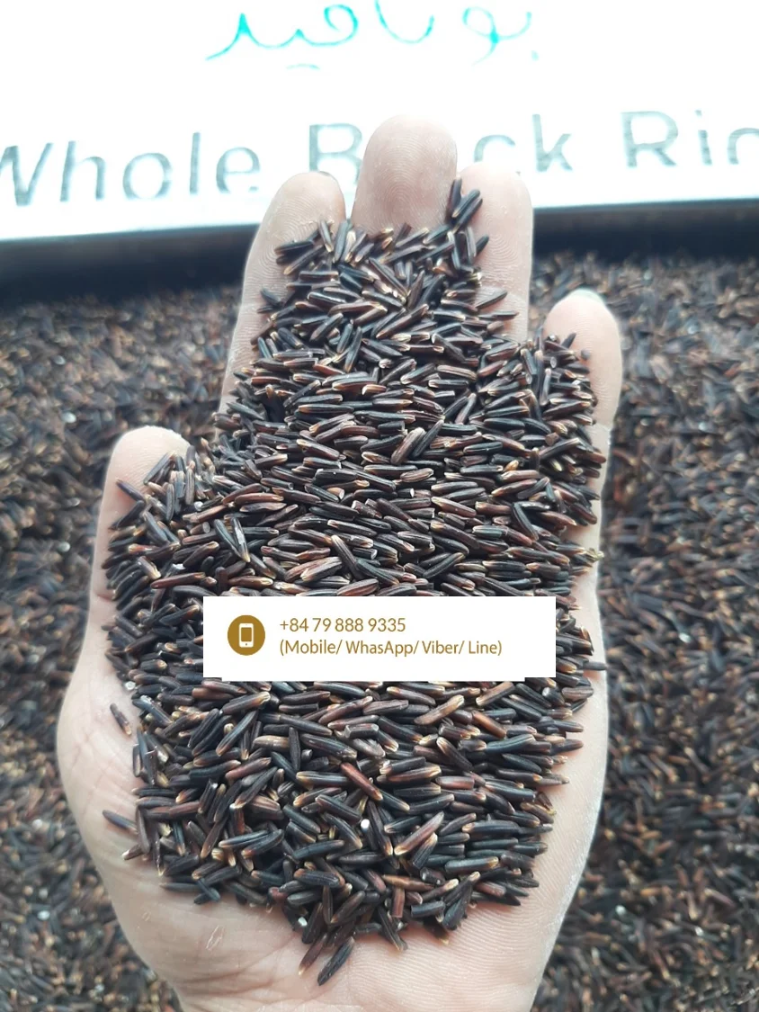 Wholesale Viet Nam High Quality Aromatic Rice Black Purple 5% standard Organic Good Price - Lisa 0084798889335