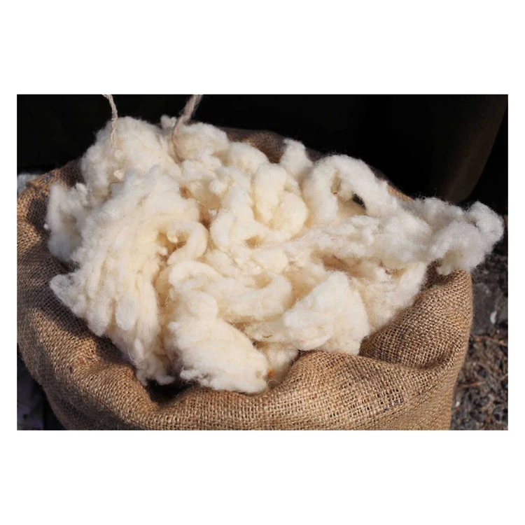 Scoured sheep wool
