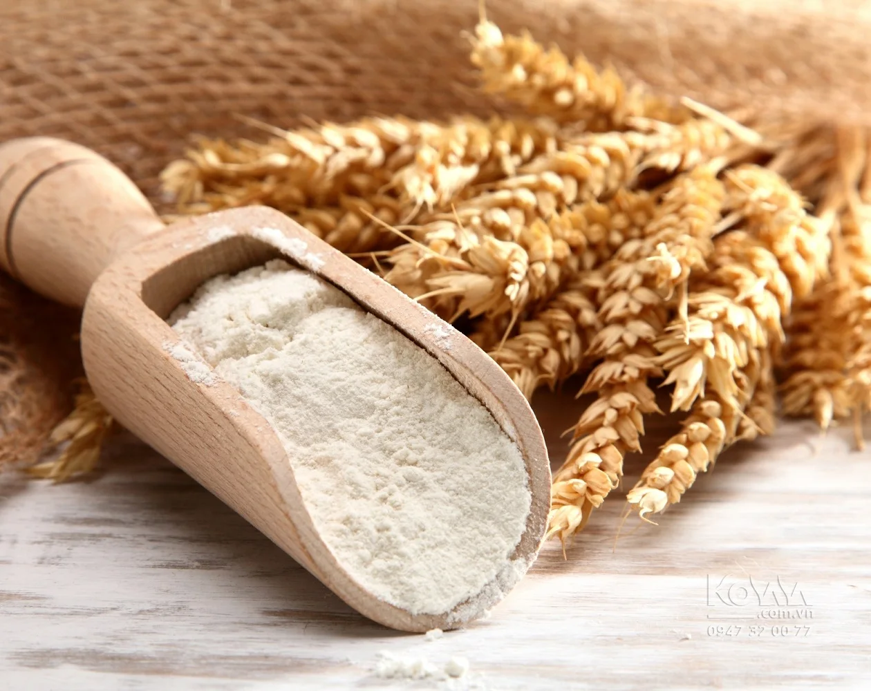 Recommended Best Selling 0.5kg Nutrition Flour Fresh White Organic Grain Oat Meal