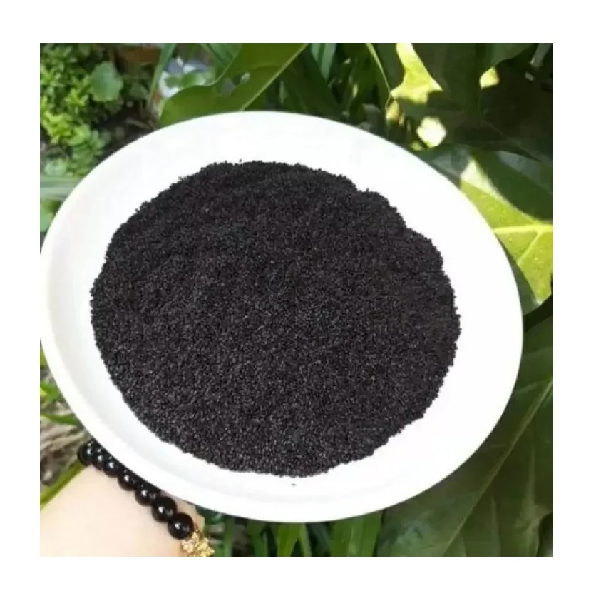 Organic Basil Seeds Premium Grade