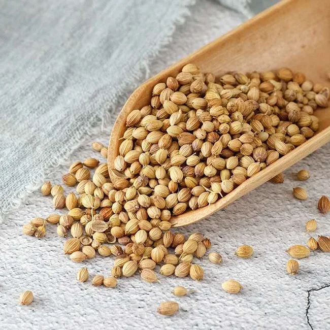
100% Natural Organic Coriander Seeds factory price wholesale 
