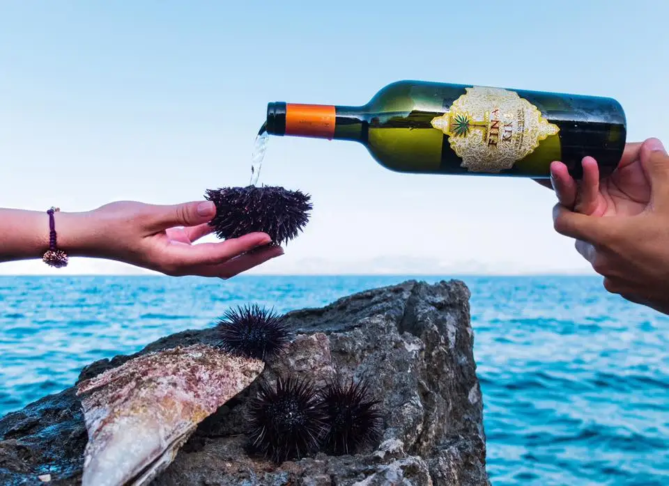 Сделано в Италии 90% ароматический трамин/10% Sauvignon Blanc стеклянная бутылка для вина 0 75 Л 13% об. белый