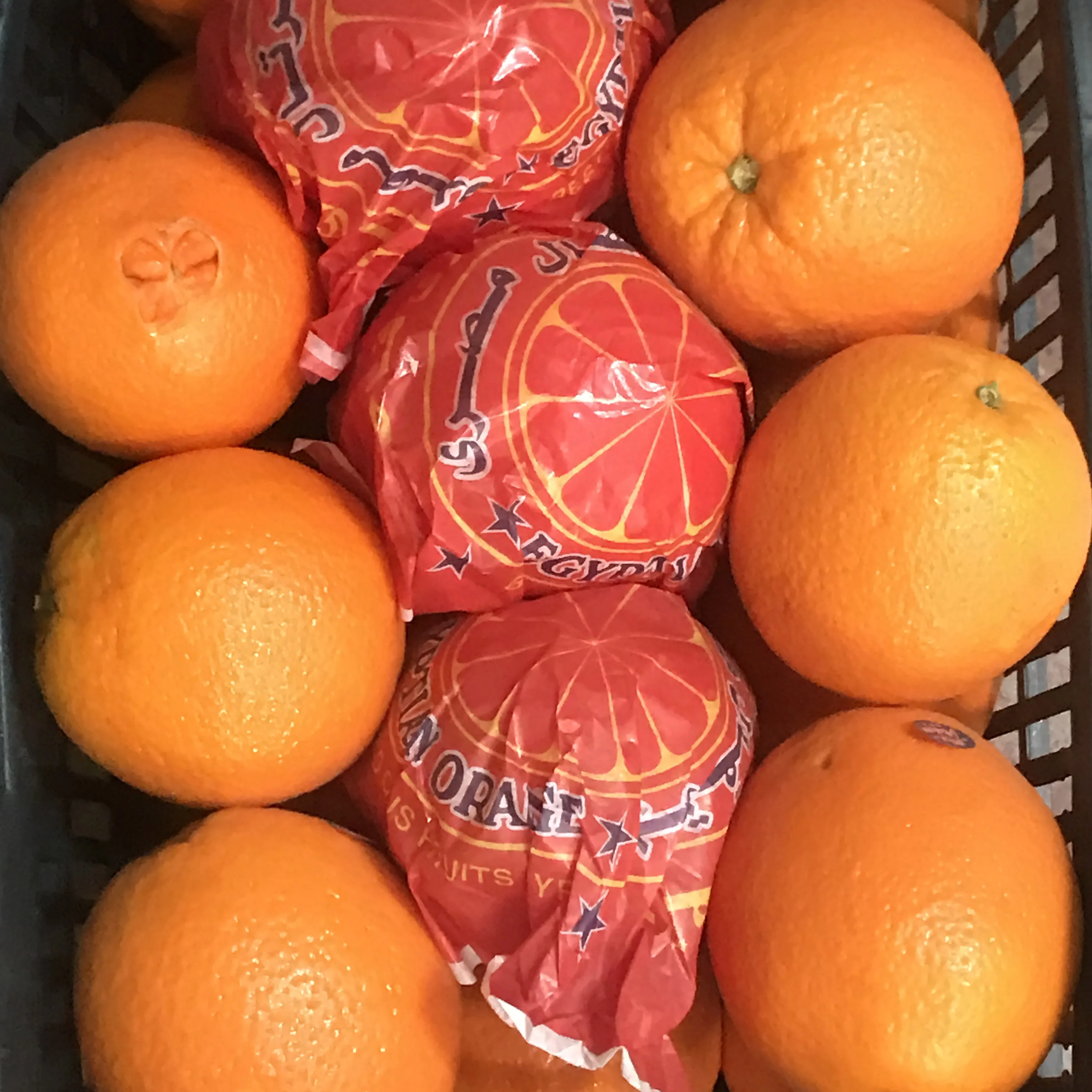 BEST QUALITY ORANGES
