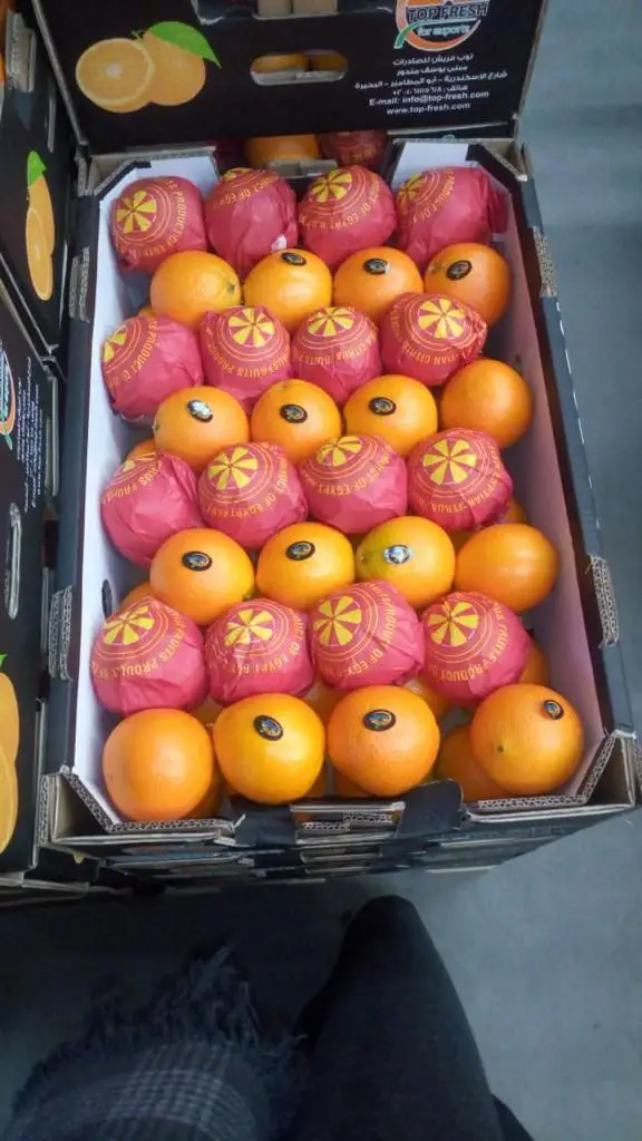 A1 Duper Orange 2021