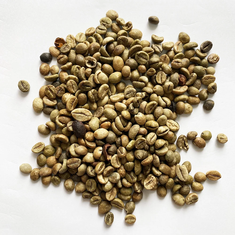 Best sellers 2020/2021 robusta coffee bean raw coffee supplies espresso coffee roasted beans