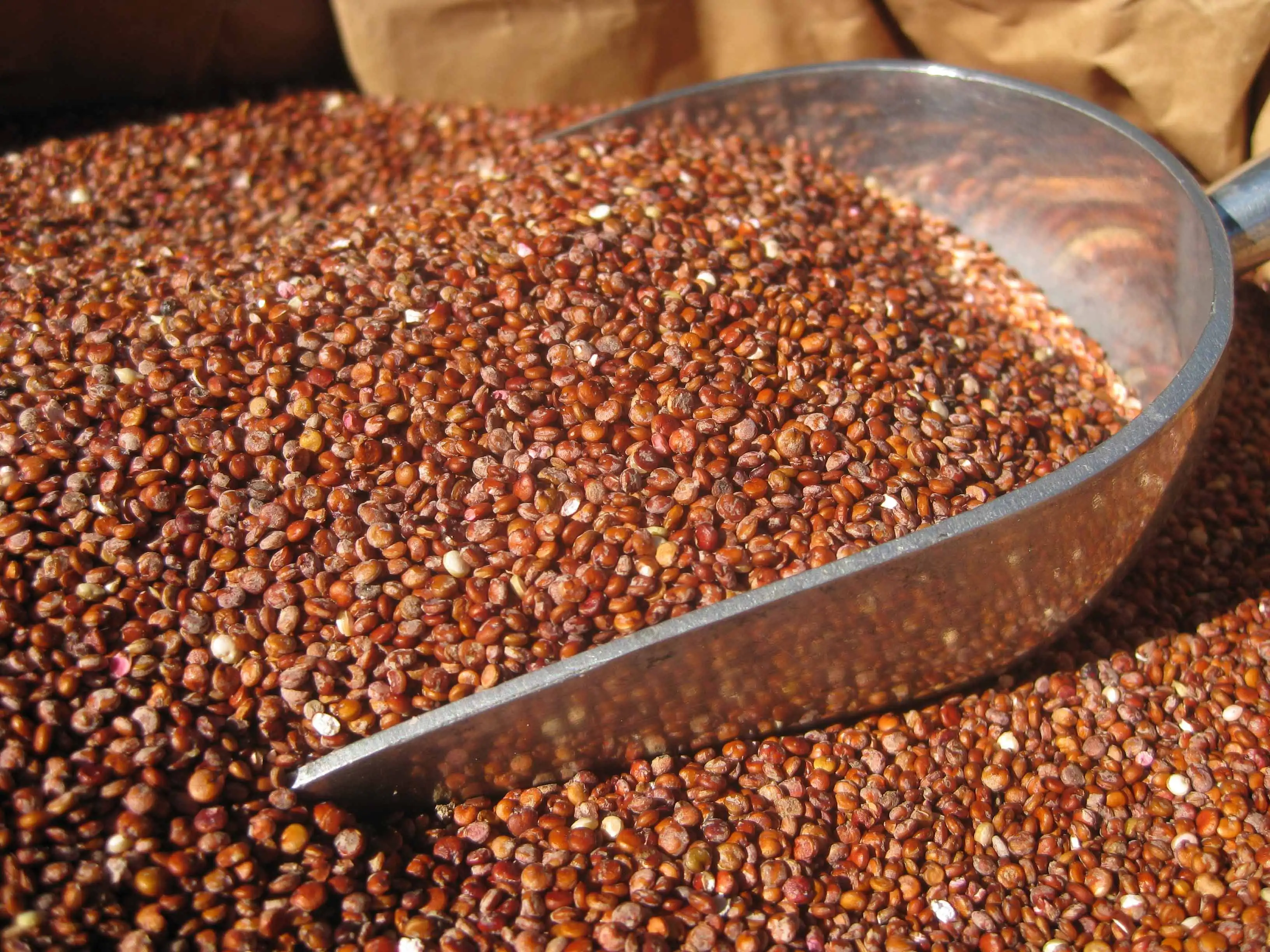 best quality ORGANIC RED QUINOA