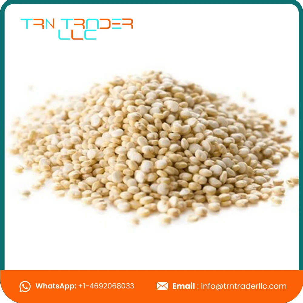 Оптовая поставка органического белого хиноа из США от ведущих поставщиков