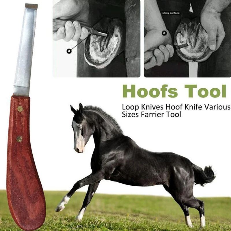 Swiss Hoof Knife Oval Shaped Loop Farrier Horse Trimming Veterinary Sharp Blade Horse Care Horse Hoofs Knifes