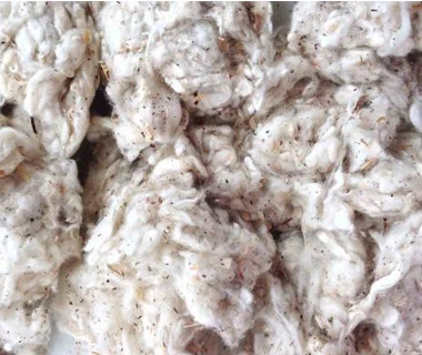 LYCRINE COTTON WASTE COTTON WASTE RAW COTTON WASTE