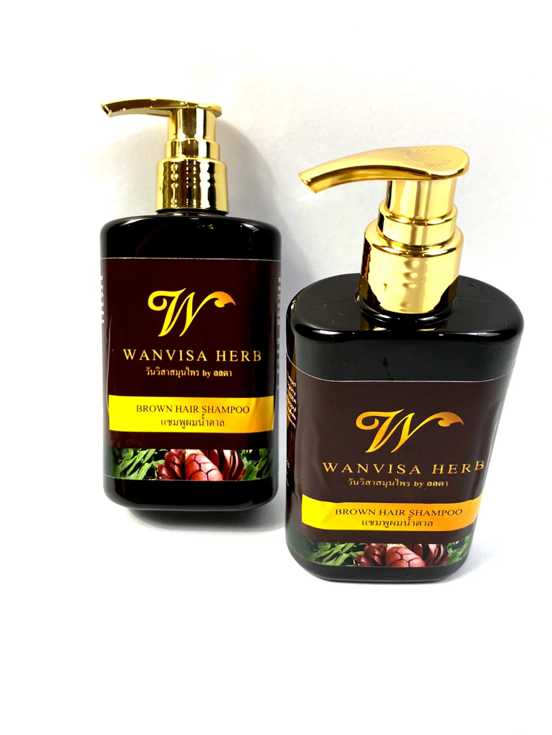 Smoothing Nourishing Hair-Loss Prevention Herbal Brown Color Shampoo From Thailand With Reasonable Price