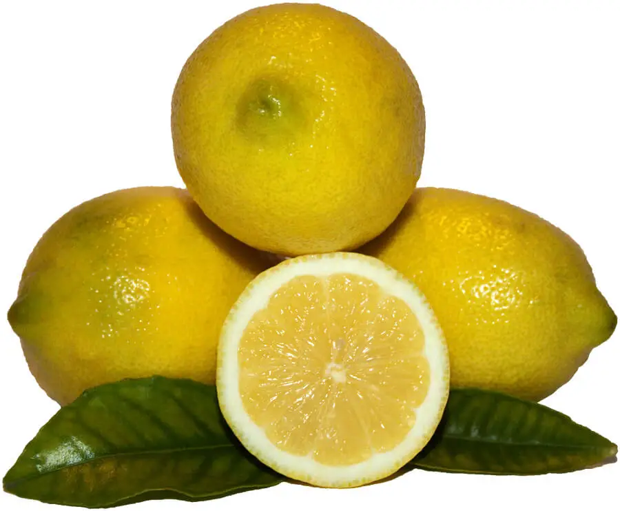 Yellow Eureka lemons Exporter South Africa