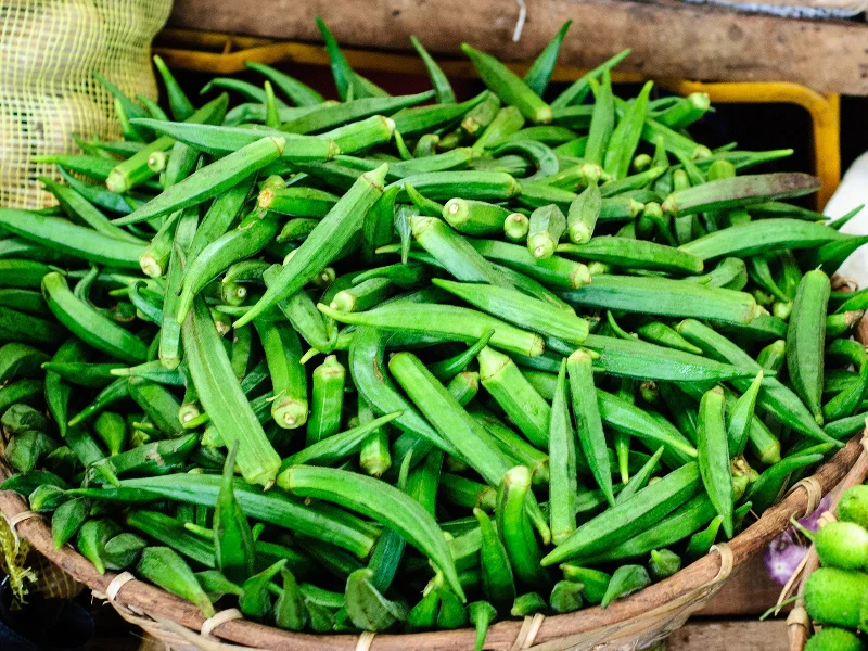 Farm fresh green Okra supplier / Exporter in Turkey