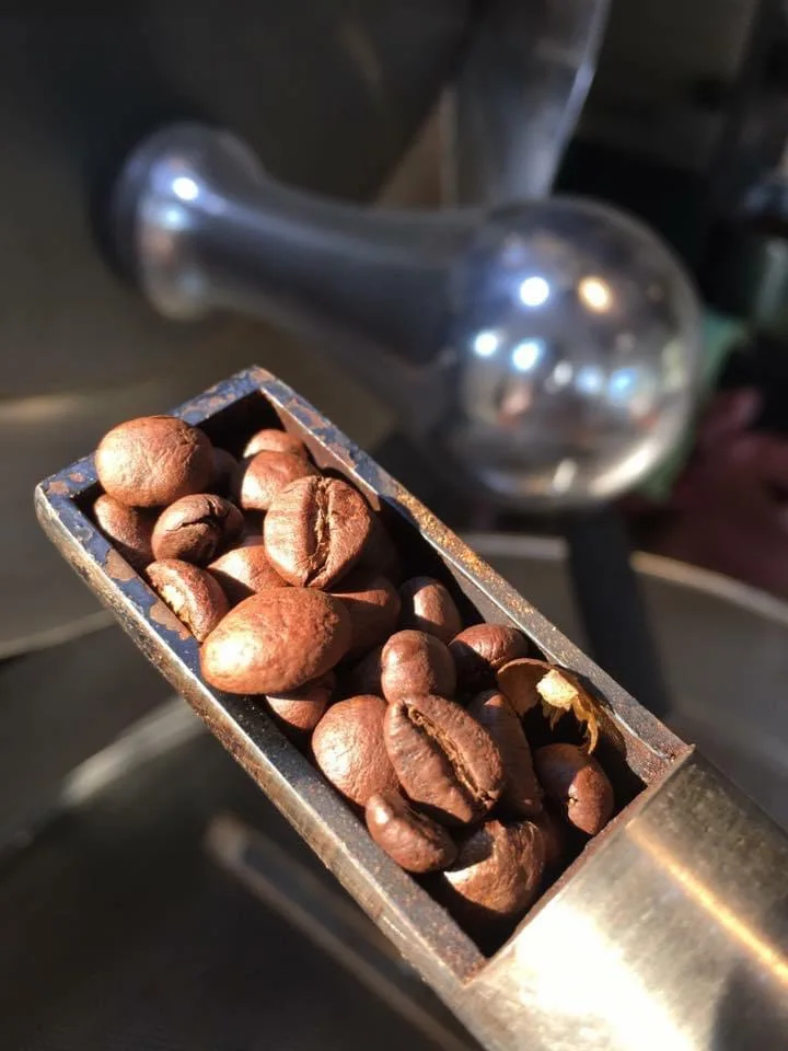 Viet Nam Best Price Coffee Roaster 5kg to 120 Kg hot air Spare Parts Provided Nuts Ordinary Product MD 2.0 X1.0x1.5 (meter)