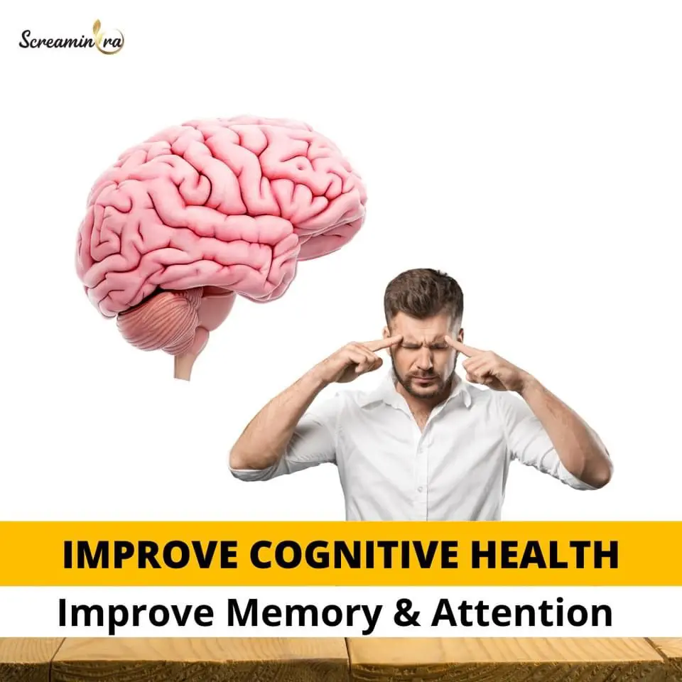 Best Quality Zynamite, Garlic, Ginger  Immunity Drink for Natural Energy & Immune System Booster for Mental & Physical Health