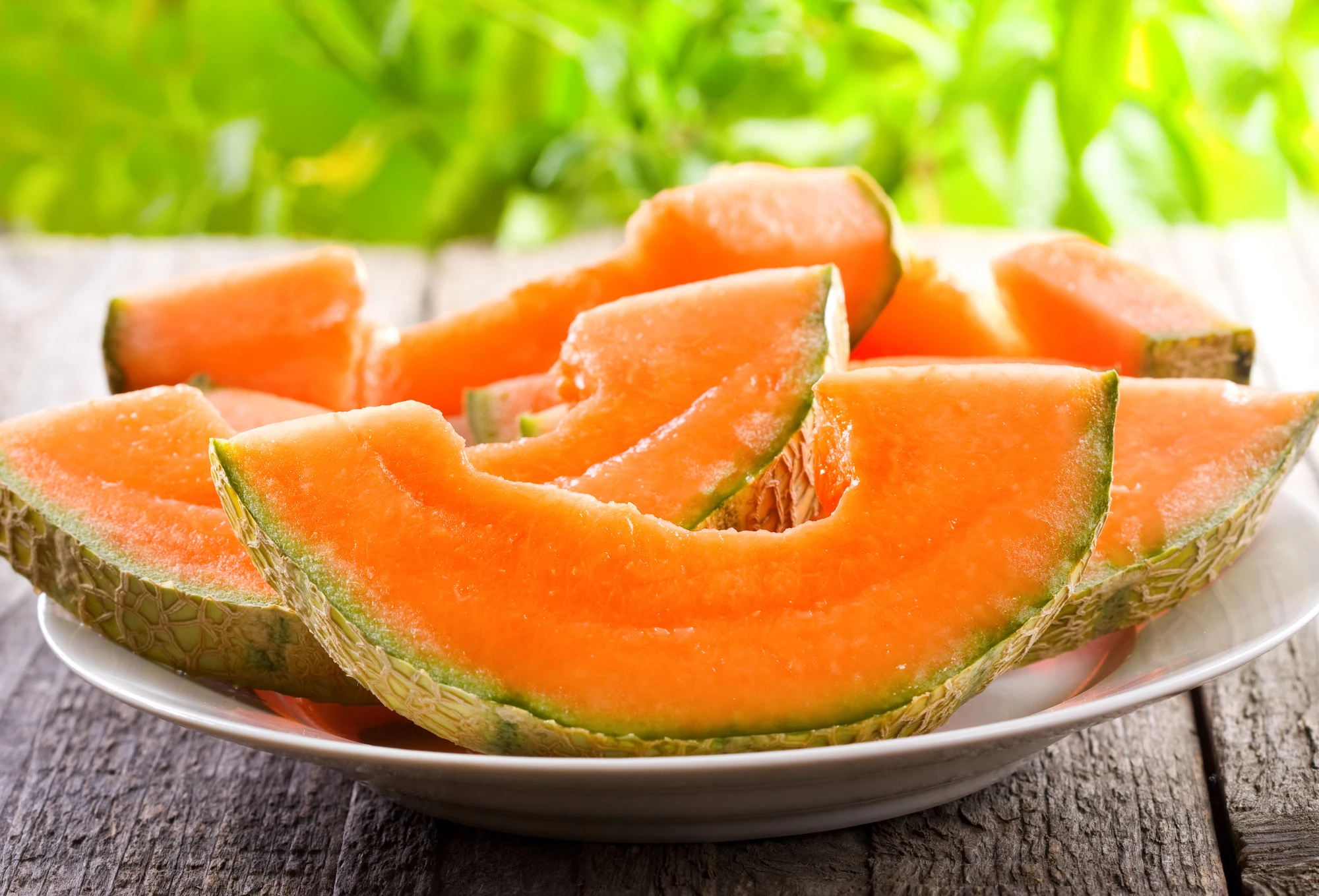 
Premium Cantaloupe King Melon Taken Care By Japanese Standard Procedure 