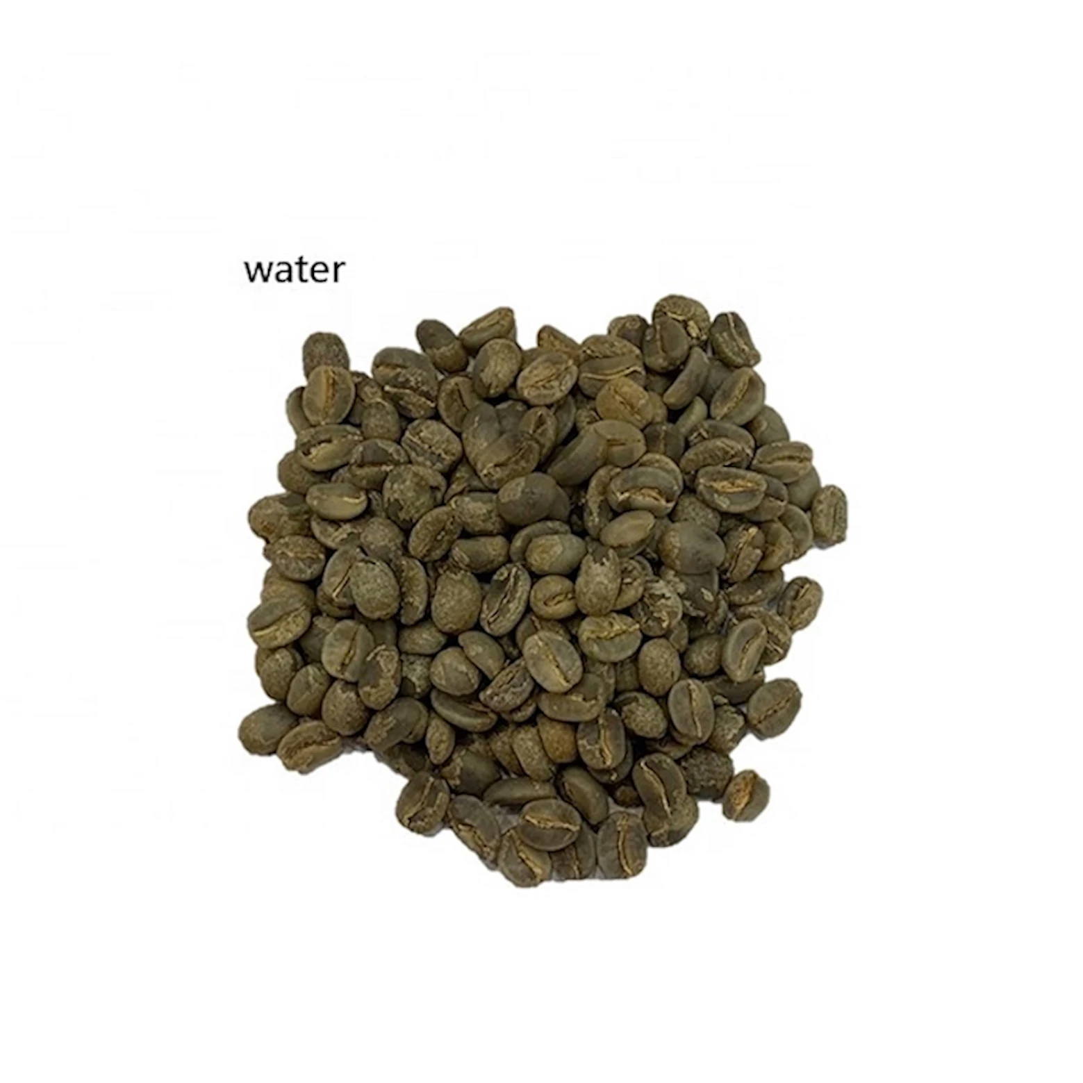 Best Bulk Green Raw Arabica Coffee Beans Sample Provided
