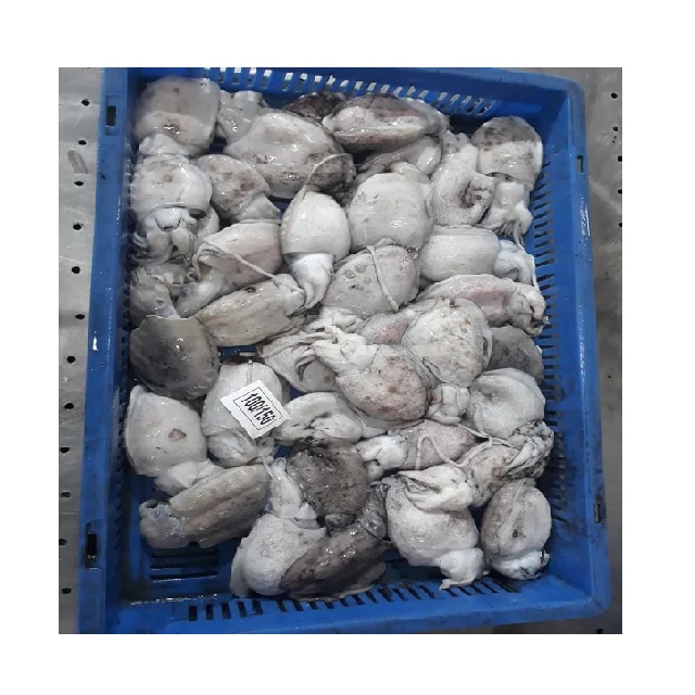 Высокое качество Замороженные тушки Каракатица блок из Индии