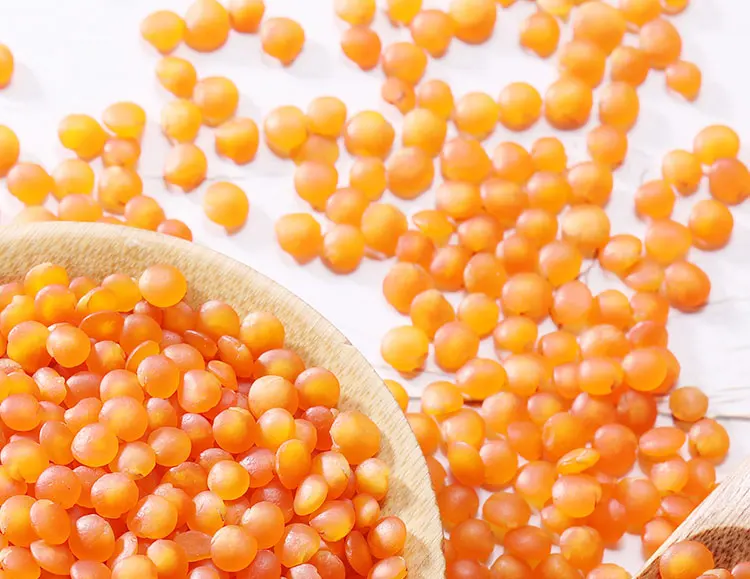 Красная линза доступно по самым низким ценам 800 тонн