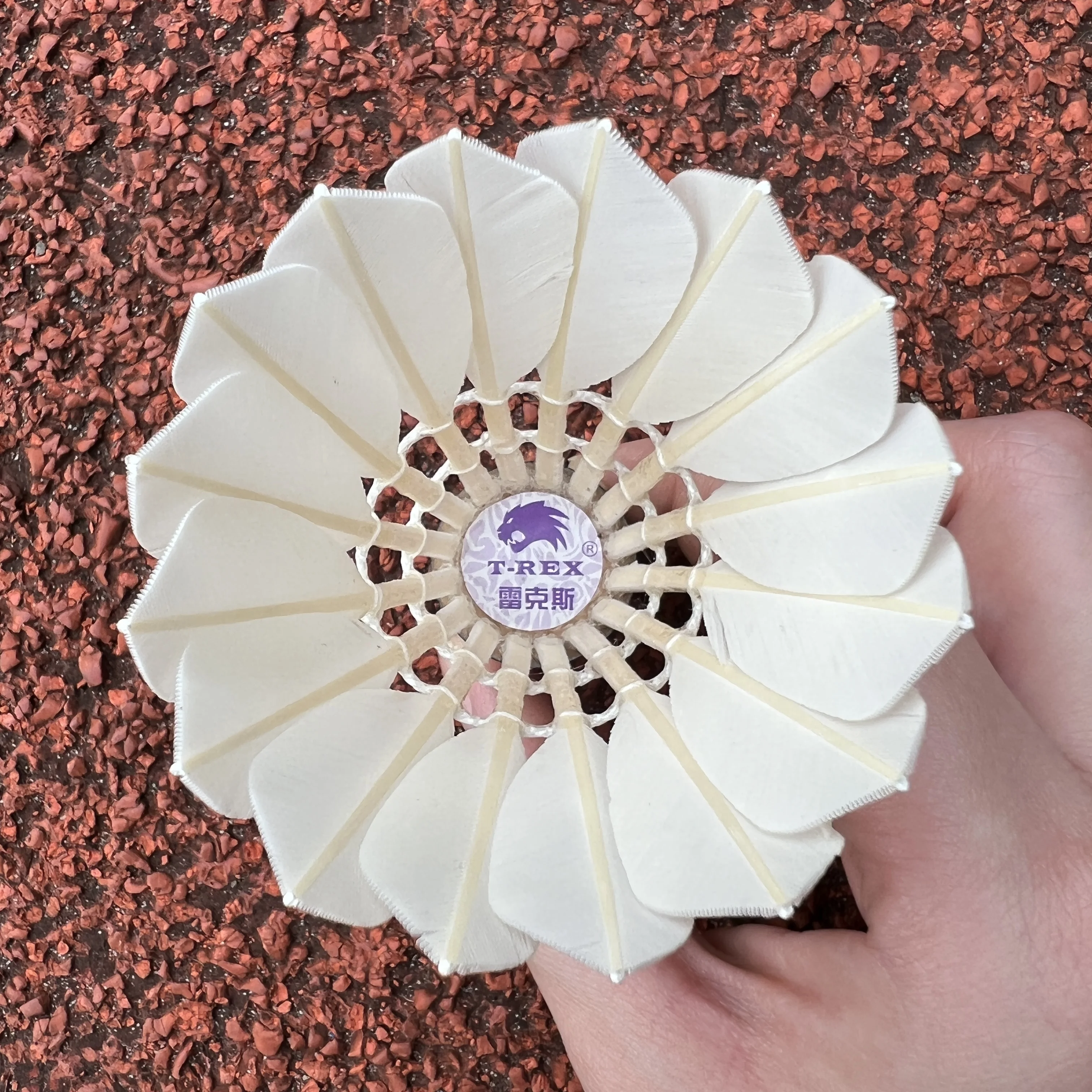 Shuttlecock Badminton Power Shuttlecock Top-Grade Goose feather for shuttlecock also have other badminton products