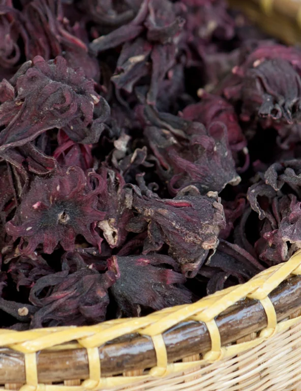 (Organic) Rosella plant Powder (1,000 gram) Thai Herbal Extract - Wholesale - custom size package & design (Product of Thailand)