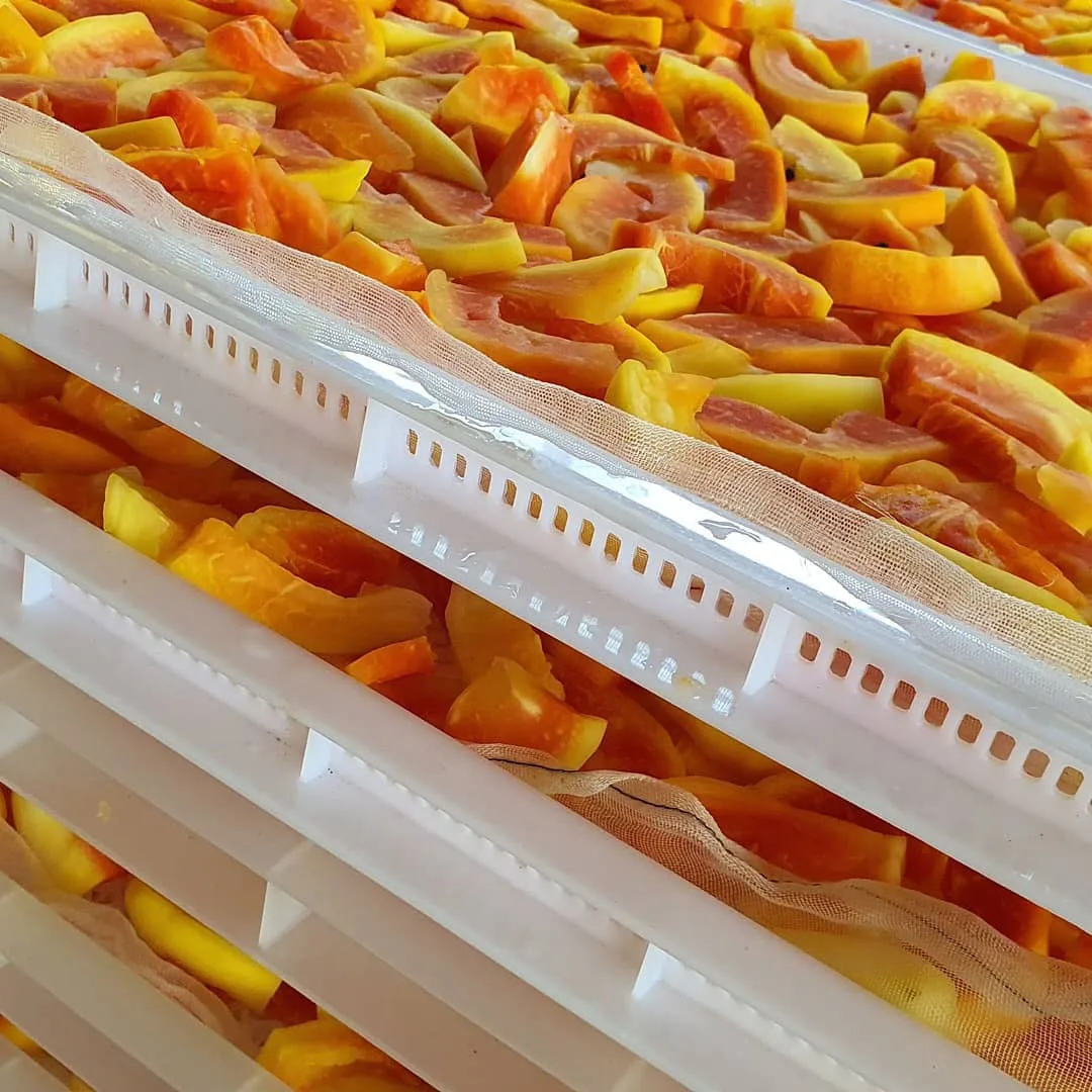 Best Dried Papaya Price From Vietnam Wholesaler-Tasty Nutritious Pawpaw Snack