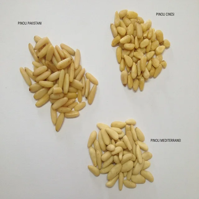 Snacks Edible Selling Pine Nut in Shell / Wholesale Turkish Pine Nuts