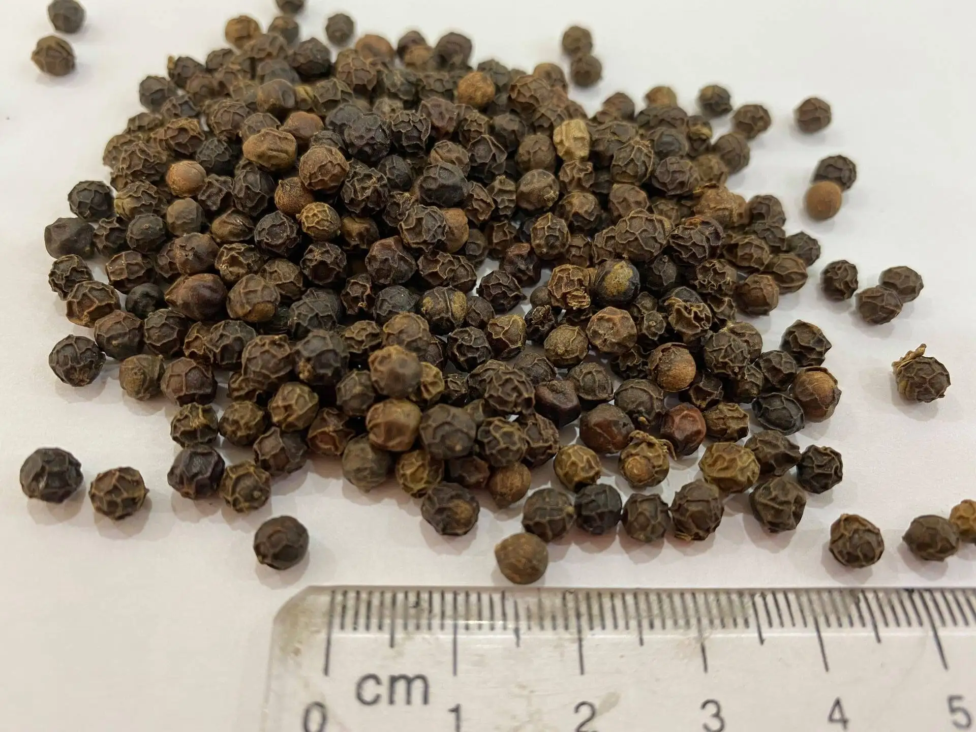 WHOLESALE PEPPER FACTORY SPICES AND NUTS FROM KING PEPPER VIETNAM