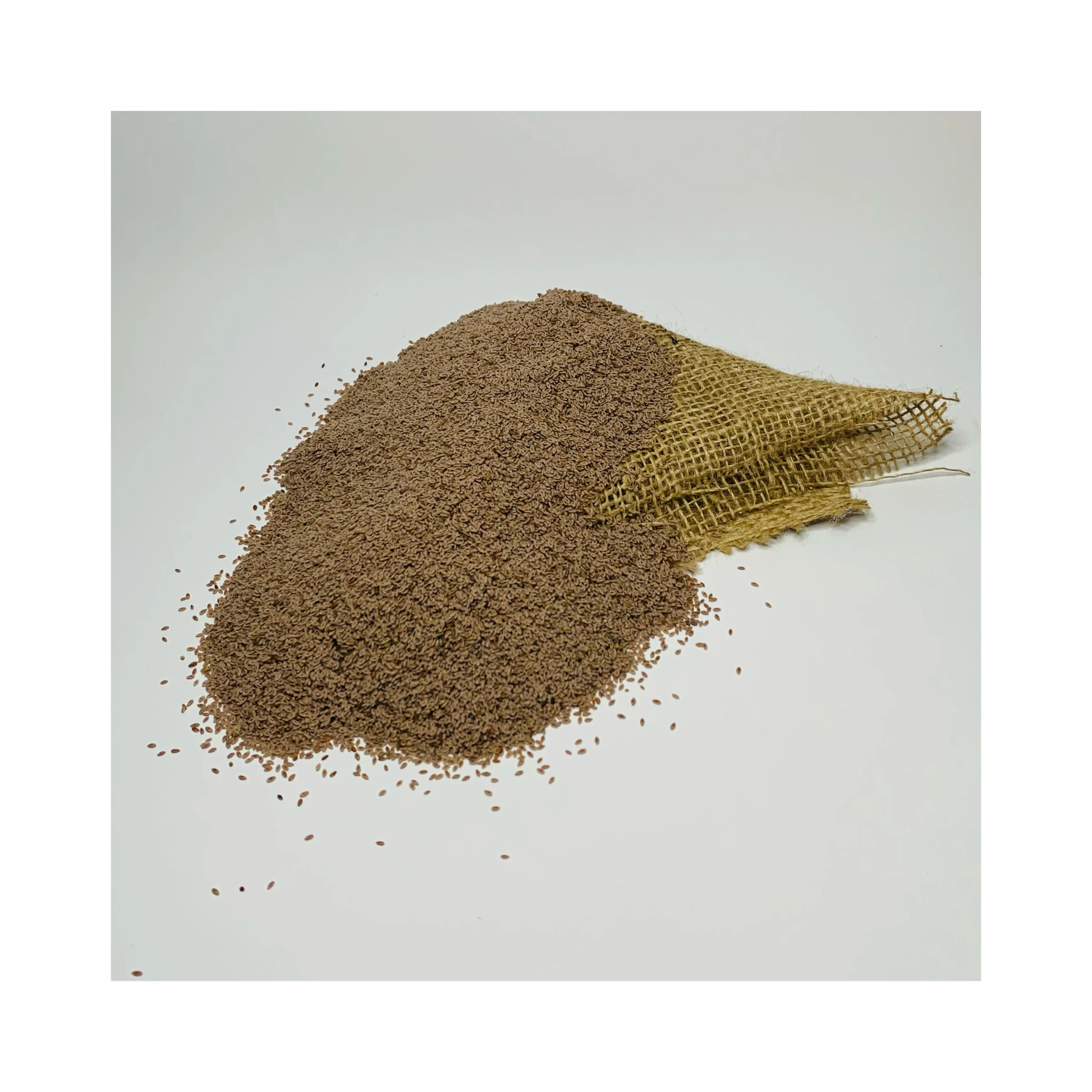 Organic Psyllium Seed Premium High Quality Pure Extract 99% Wholesale Bulk Quantity Retail Best Price Best Quality