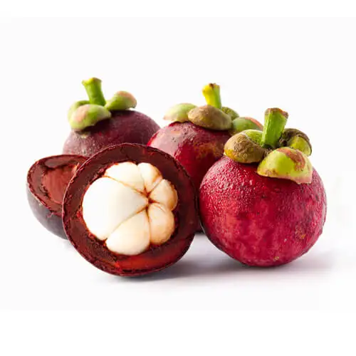 
Fresh Fruit Succulent Flavor - Mangosteen Fruit New Cultivation Organic 