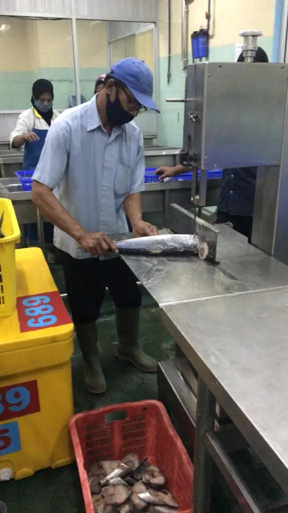 2022 Scomberomorus Guttatus Fish (120-150 gm/pc) Bulk Packing 10 kg/ctn Frozen Spanish Mackerel Steak Cut