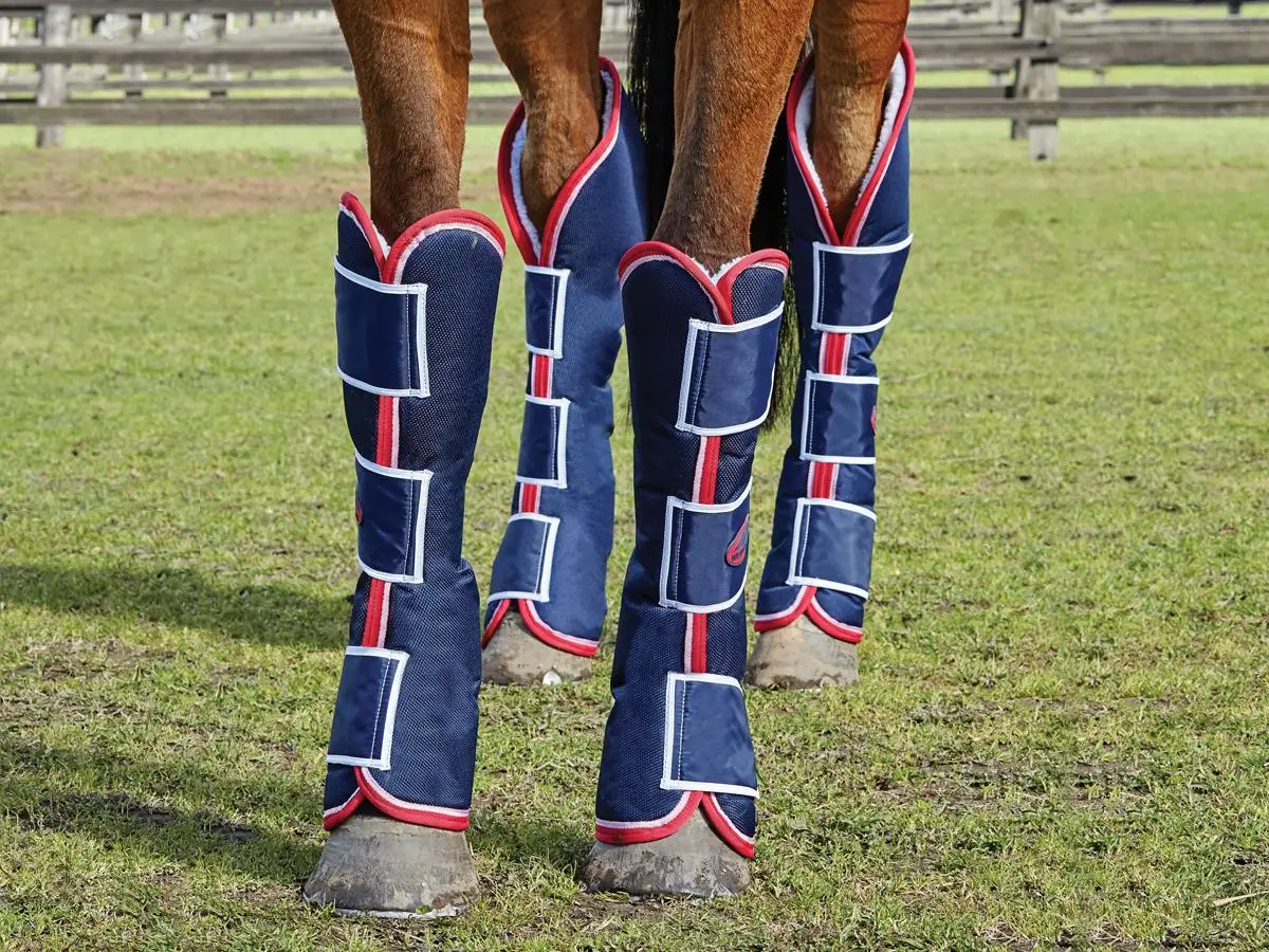horse leg protect / equestrian boots