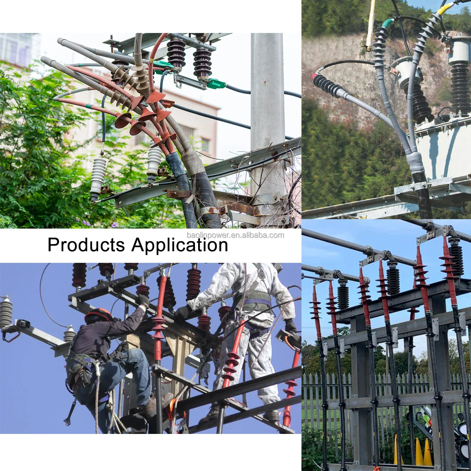 Products Application.jpg